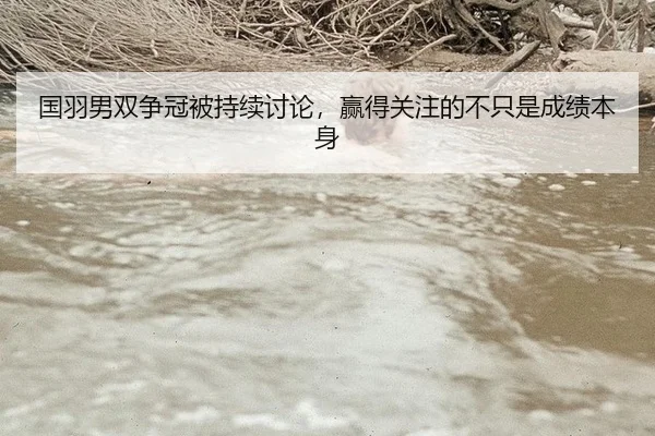 国羽男双争冠被持续讨论，赢得关注的不只是成绩本身
